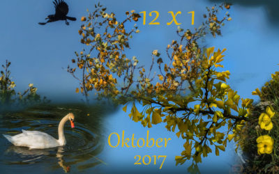 12 x 1 im Wandel – 2017/10