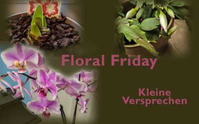 Floral Friday – das wird noch (drinnen)