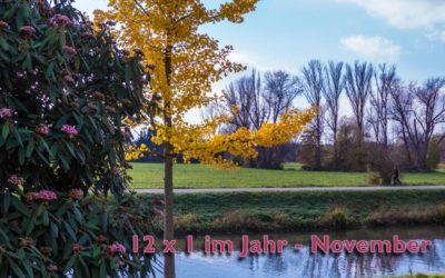 12 x 1 im Jahr – 11/2017