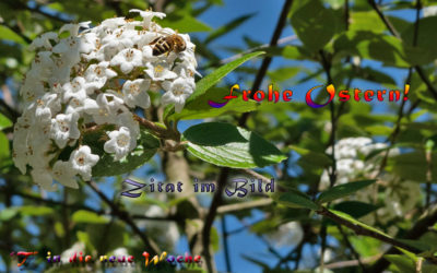 Kleine Osterpause