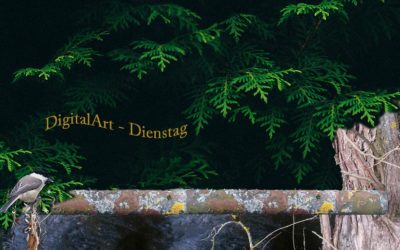 Digi-Art mit Rohr & Flechten
