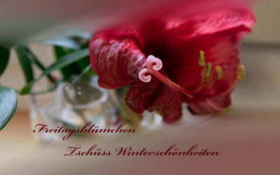 Blümchenfreitag