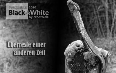 Black & White #1/2020