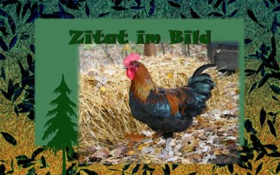 Ach ja – das Wetter (ZiB) !