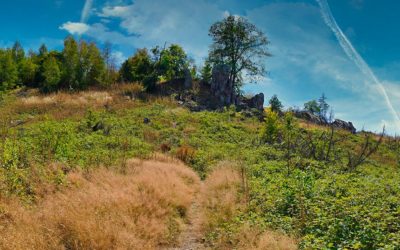 Im Taunus verlaufen? Geht!