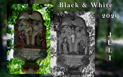 Black & White – ZIB