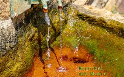 Im Quellenpark Kronthal