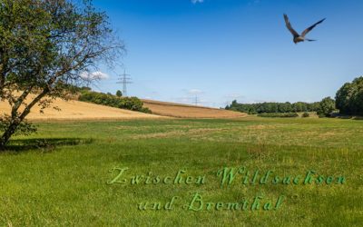 Naturpark Hochtaunus