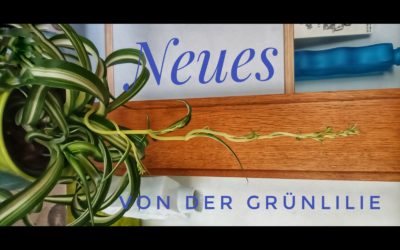 Hoch hinaus