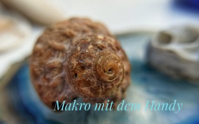 Miese Laune und …