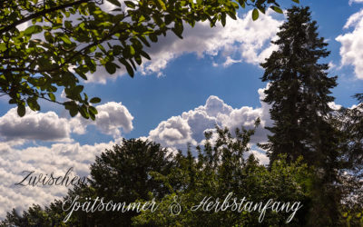 Mitte August …