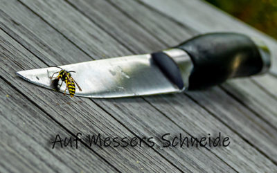 Auf Messers Schneide