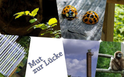 Mut zur Lücke