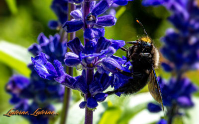 Wird’s noch mal Sommer?