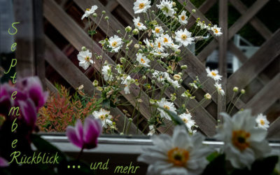 Freitagsblümchen & mehr