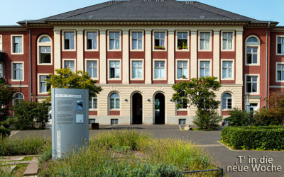 Ein Spaziergang, Tore und mehr