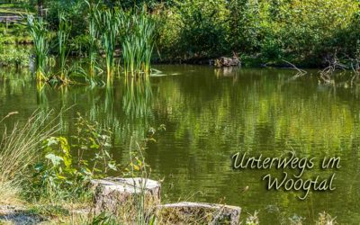 Wald & Wasser = Woogtal