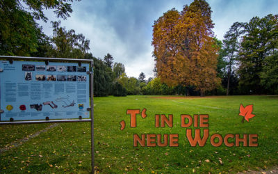 Sturm und das obligatorische „T“