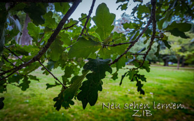ZiB, Schmuddelwetter & trotzdem unterwegs