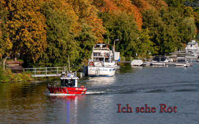 Rotes auf dem Main