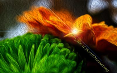 DigitalArt & ‚Ich sehe rot‘
