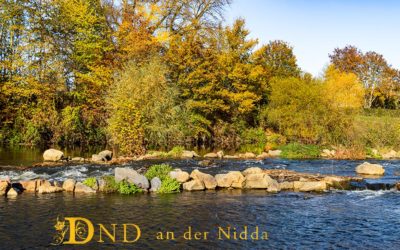 DND – ein herrlicher Vormittag
