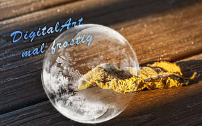 Erster Frost & Digi-Art