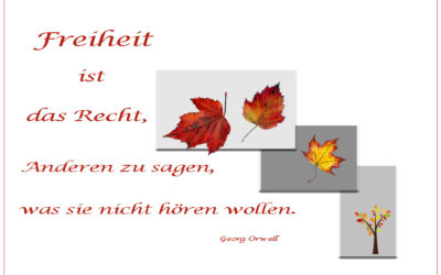 Jeder hat das Recht …