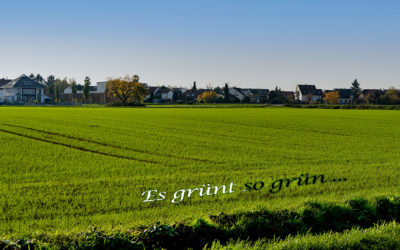 Mit viel Grün & „T“ in die neue Woche