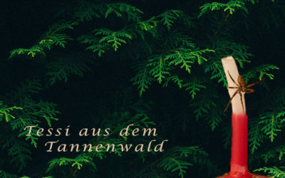 Tessi aus dem Tannenwald