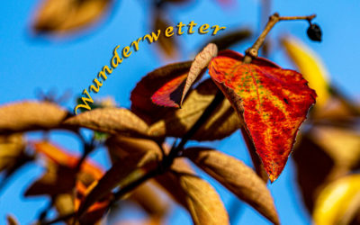Novemberwunderwetter