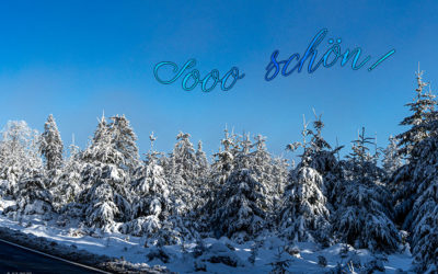 Winter-Feeling