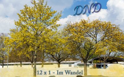 Es donnert am DND & 12×1 im Wandel
