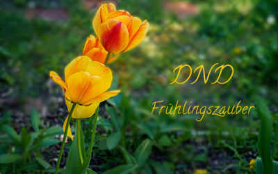 DND – Der MainZauberFrühlingsZauber