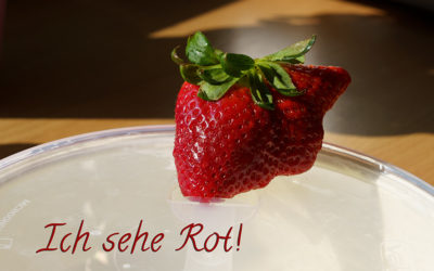 Rot für Anne