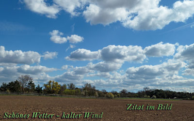 Kalter Wind von Norden …