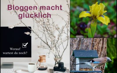Bloggen macht glücklich – geschafft!
