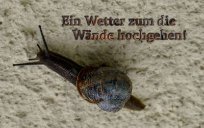Schreibwetter!