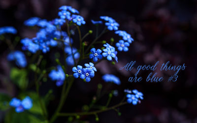 Das Blau an sich . . .