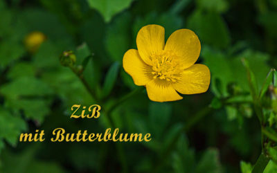 ZiB & Gartentag
