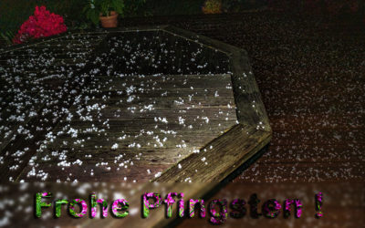 Frohe Pfingsten & ZiB