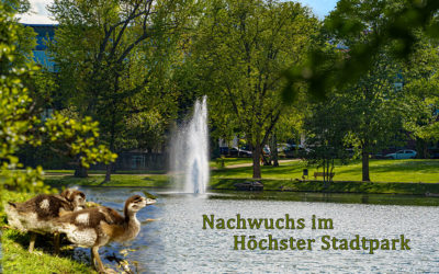 Eine Stunde ohne Regen