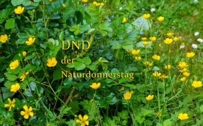 DND – Viel zu nass