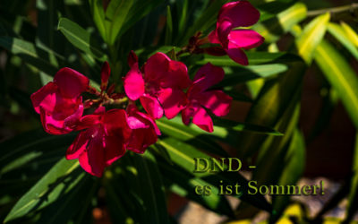 DND – so richtig Sommer!