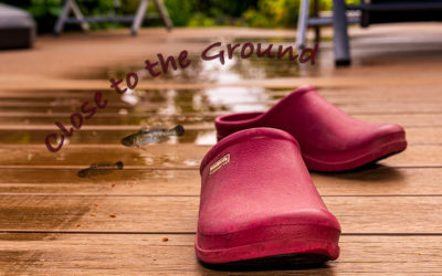 Close to the ground – überraschend nass