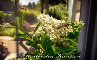 Sommeressen – warm