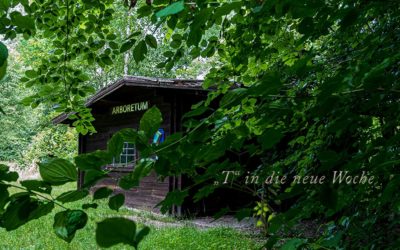 „T“ ins Arboretum
