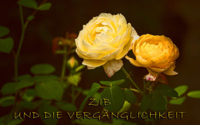 ZiB und ein paar Gedanken
