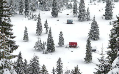 Fast eine Weihnachtsgeschichte