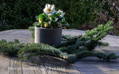 Spaziergang – kalt aber schön